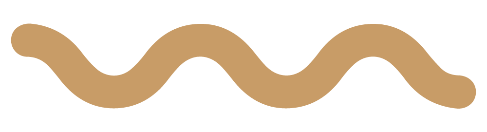 ¿Necesita una solución de empaque personalizada?